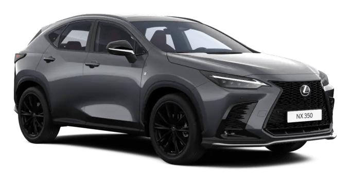 LEXUS NX Серый