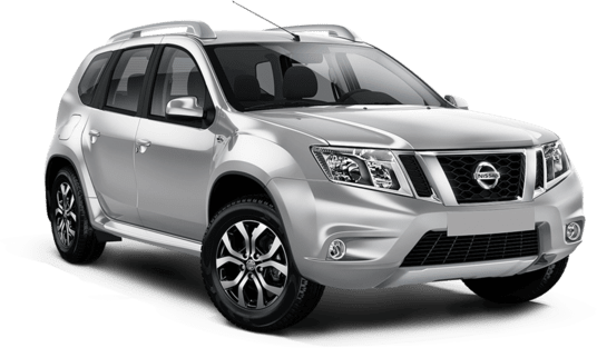 NISSAN Terrano Cеребристый